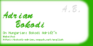 adrian bokodi business card